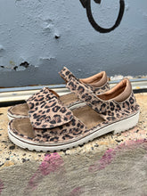 Load image into Gallery viewer, NAOT Norel Soft Stone Cheetah Combo Ladies Leather Sandal