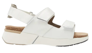 NAOT Odyssey White Silver Sandal | Soul 2 Sole Shoes
